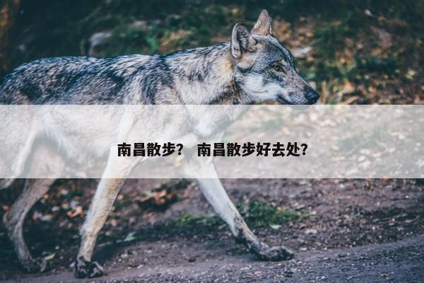 南昌散步？ 南昌散步好去处？