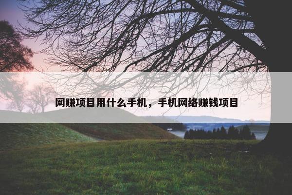 网赚项目用什么手机，手机网络赚钱项目