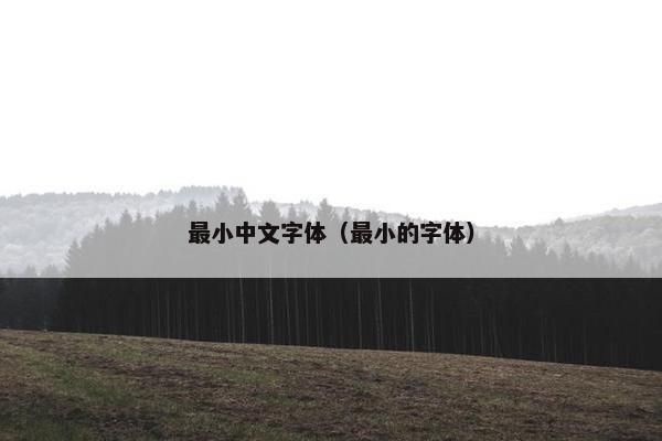 最小中文字体（最小的字体）
