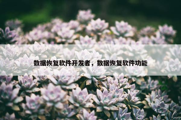 数据恢复软件开发者，数据恢复软件功能