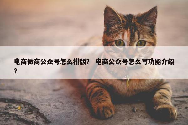 电商微商公众号怎么排版？ 电商公众号怎么写功能介绍？