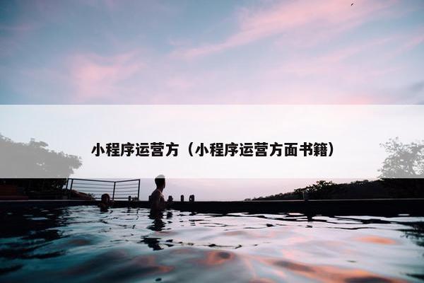 小程序运营方（小程序运营方面书籍）