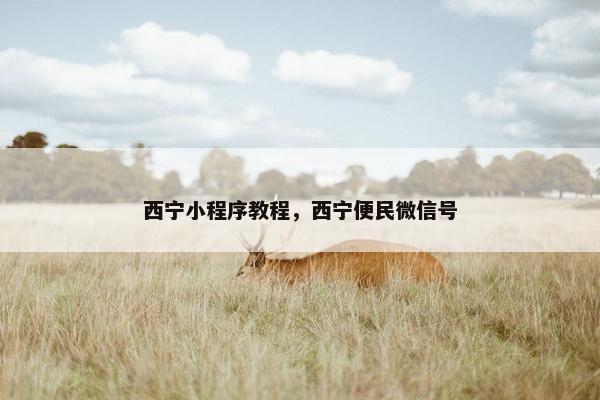 西宁小程序教程，西宁便民微信号