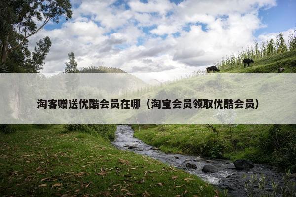 淘客赠送优酷会员在哪（淘宝会员领取优酷会员）