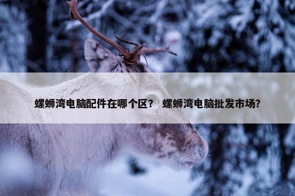 螺蛳湾电脑配件在哪个区？ 螺蛳湾电脑批发市场？
