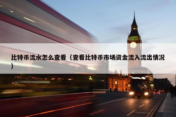 比特币流水怎么查看（查看比特币市场资金流入流出情况）