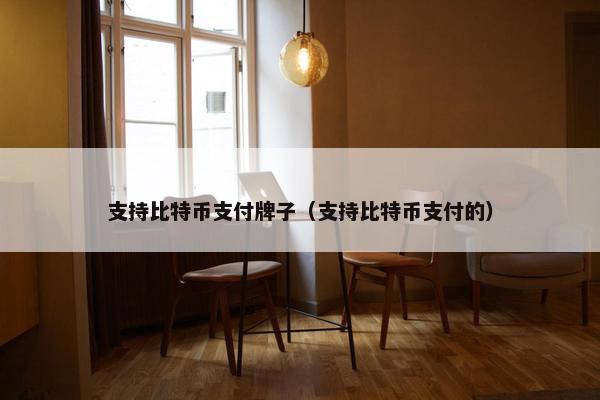 支持比特币支付牌子（支持比特币支付的）