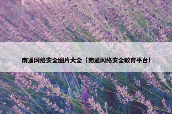 南通网络安全图片大全（南通网络安全教育平台）