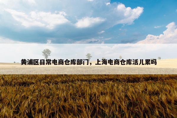 黄浦区日常电商仓库部门，上海电商仓库活儿累吗