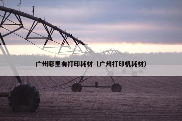 广州哪里有打印耗材（广州打印机耗材）