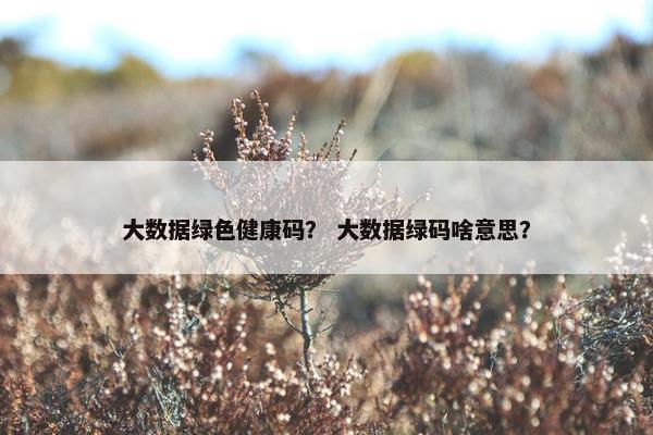大数据绿色健康码？ 大数据绿码啥意思？