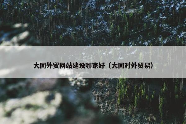 大同外贸网站建设哪家好（大同对外贸易）