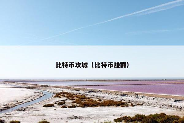 比特币攻城（比特币赚翻）