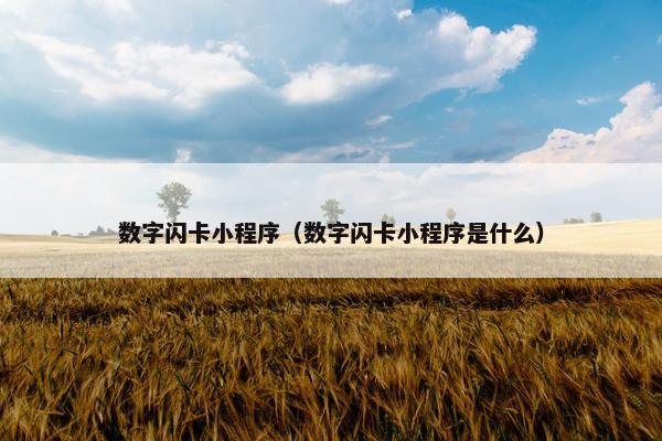 数字闪卡小程序（数字闪卡小程序是什么）