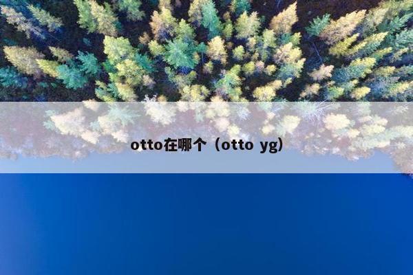 otto在哪个（otto yg）