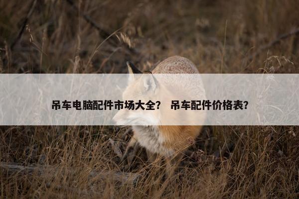 吊车电脑配件市场大全？ 吊车配件价格表？