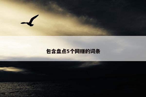 包含盘点5个网赚的词条