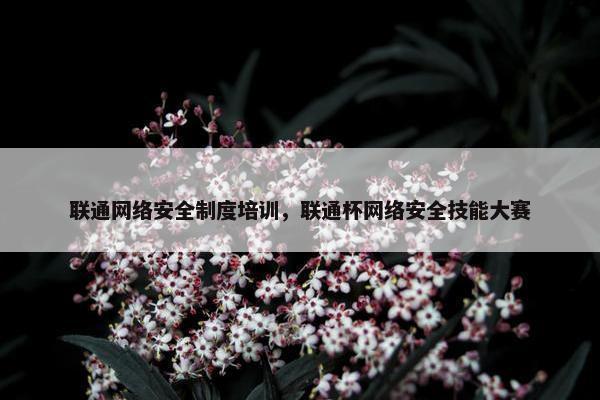 联通网络安全制度培训，联通杯网络安全技能大赛