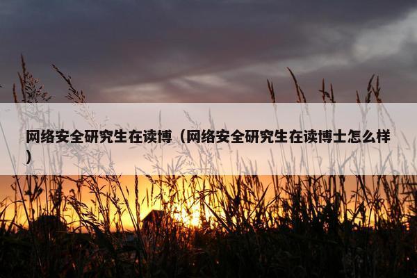网络安全研究生在读博（网络安全研究生在读博士怎么样）