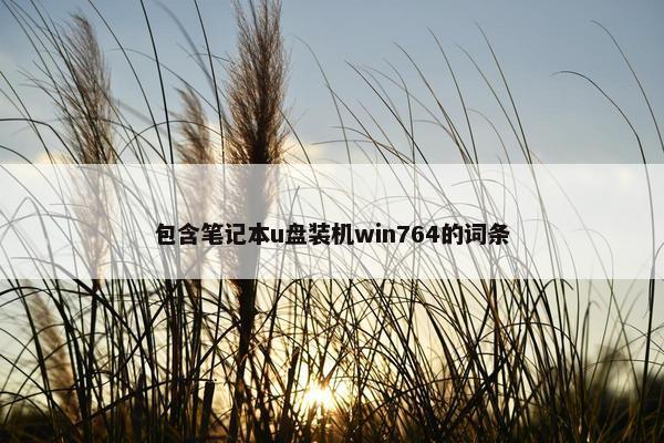 包含笔记本u盘装机win764的词条