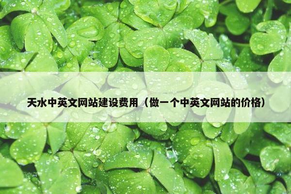天水中英文网站建设费用（做一个中英文网站的价格）