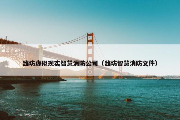 潍坊虚拟现实智慧消防公司（潍坊智慧消防文件）