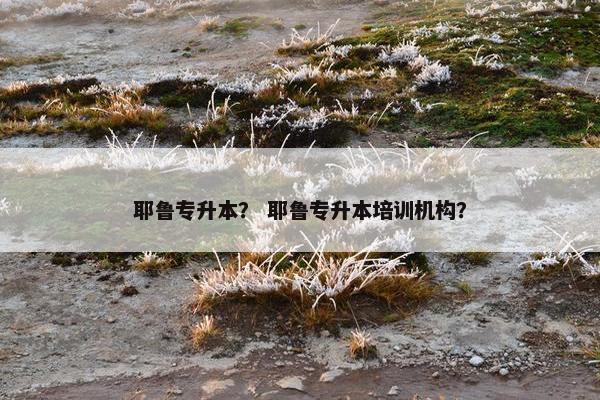 耶鲁专升本？ 耶鲁专升本培训机构？