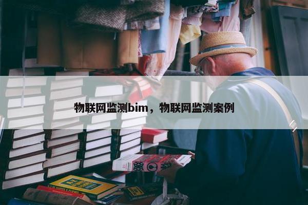 物联网监测bim，物联网监测案例