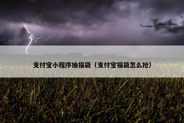 支付宝小程序抽福袋（支付宝福袋怎么抢）