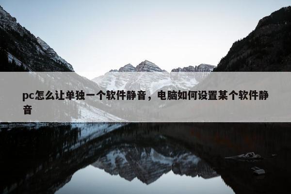 pc怎么让单独一个软件静音，电脑如何设置某个软件静音