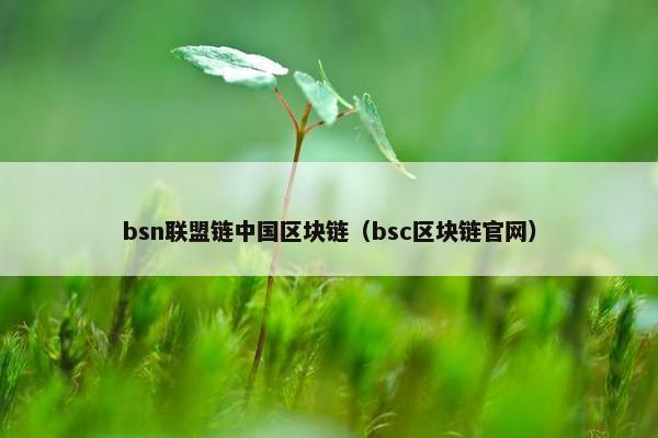 bsn联盟链中国区块链（bsc区块链官网）