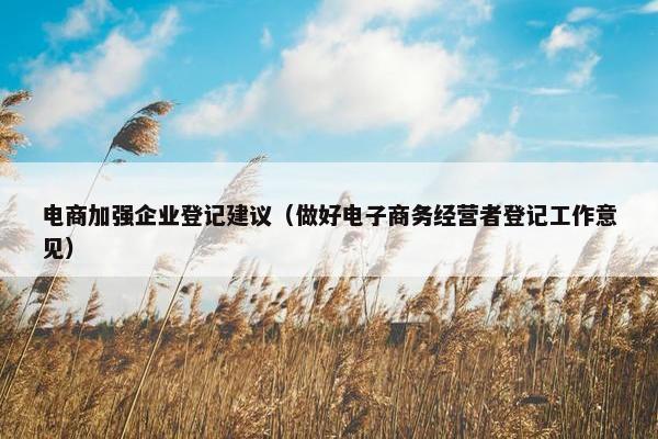 电商加强企业登记建议（做好电子商务经营者登记工作意见）
