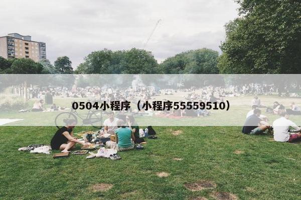 0504小程序（小程序55559510）