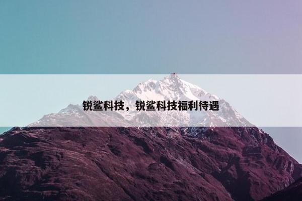 锐鲨科技，锐鲨科技福利待遇