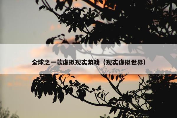 全球之一款虚拟现实游戏（现实虚拟世界）