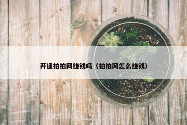 开通拍拍网赚钱吗（拍拍网怎么赚钱）