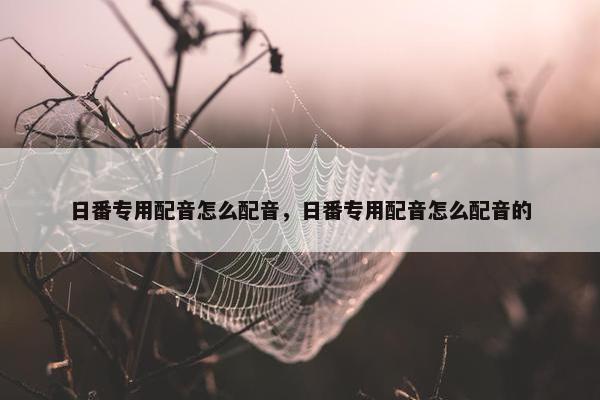日番专用配音怎么配音，日番专用配音怎么配音的