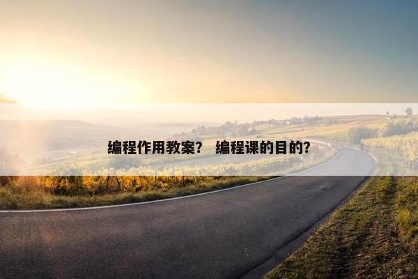 编程作用教案？ 编程课的目的？