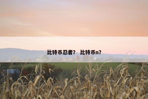 比特币忍者？ 比特币n？
