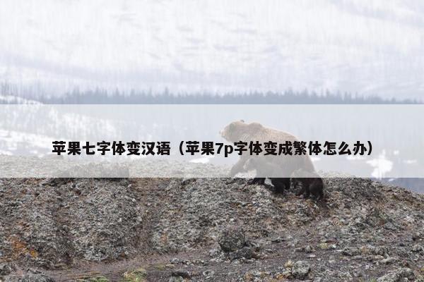 苹果七字体变汉语（苹果7p字体变成繁体怎么办）