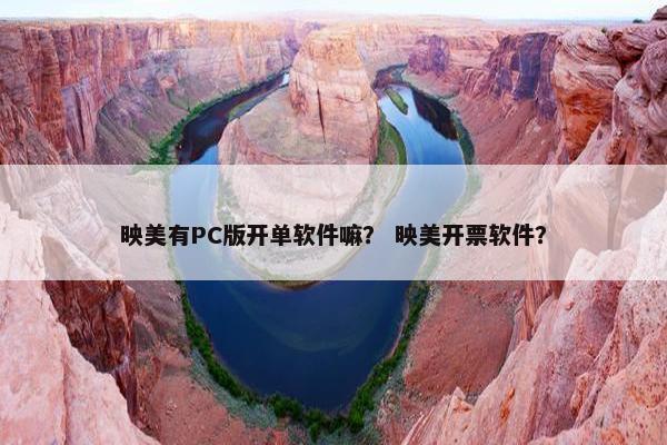 映美有PC版开单软件嘛？ 映美开票软件？