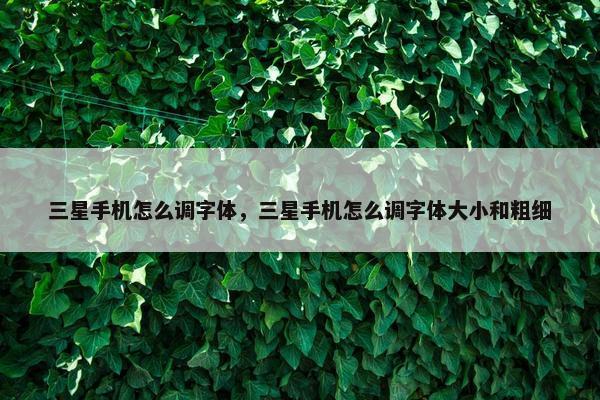 三星手机怎么调字体，三星手机怎么调字体大小和粗细