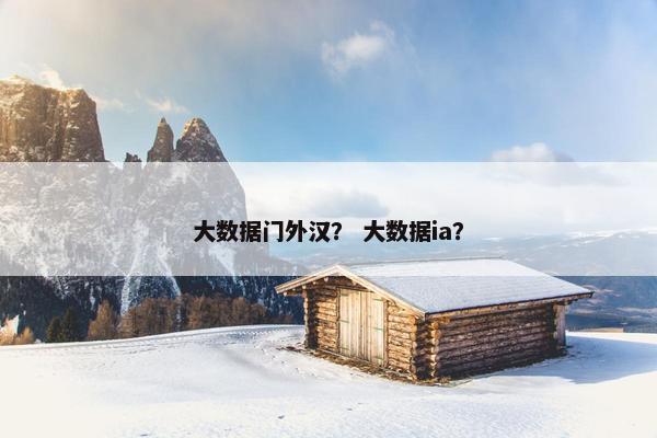 大数据门外汉？ 大数据ia？