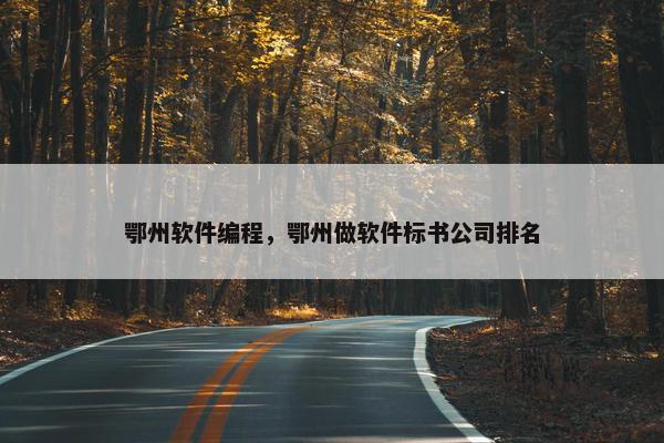 鄂州软件编程，鄂州做软件标书公司排名