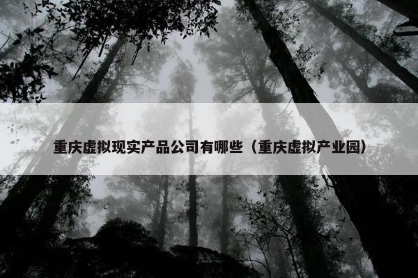 重庆虚拟现实产品公司有哪些（重庆虚拟产业园）