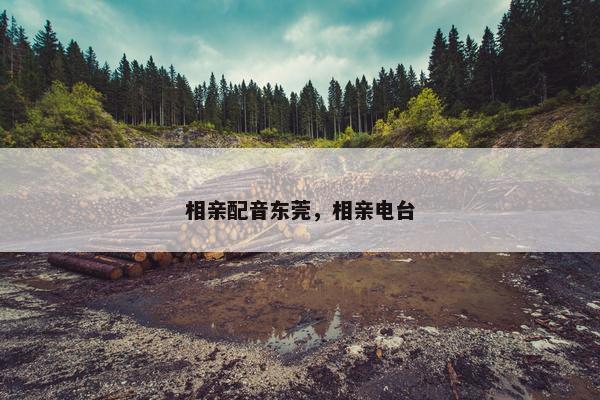 相亲配音东莞，相亲电台