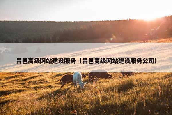 昌邑高级网站建设服务（昌邑高级网站建设服务公司）
