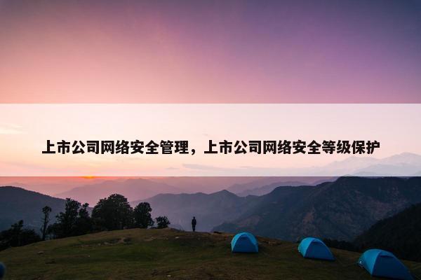 上市公司网络安全管理，上市公司网络安全等级保护