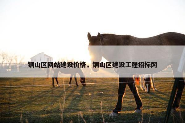铜山区网站建设价格，铜山区建设工程招标网