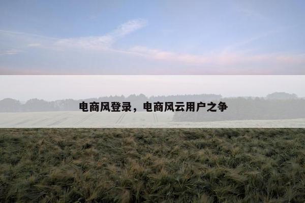 电商风登录，电商风云用户之争